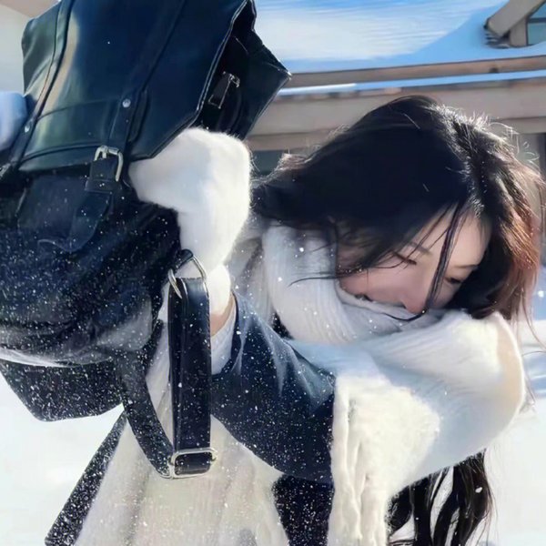 加菲猫家族